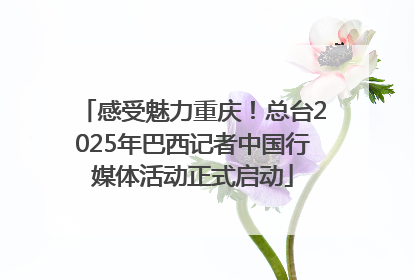 感受魅力重庆！总台2025年巴西记者中国行媒体活动正式启动
