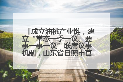 成立油桃产业链，建立“常态一季一议、要事一事一议”联席议事机制，山东省日照市莒县果庄镇——13个党小组“全周期”育果