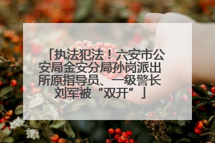 执法犯法！六安市公安局金安分局孙岗派出所原指导员、一级警长刘军被“双开”