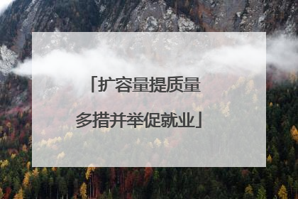 扩容量提质量 多措并举促就业
