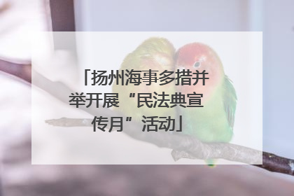扬州海事多措并举开展“民法典宣传月”活动