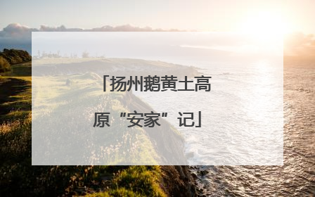 扬州鹅黄土高原“安家”记