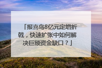 报喜鸟8亿元定增折戟，快速扩张中如何解决巨额资金缺口？