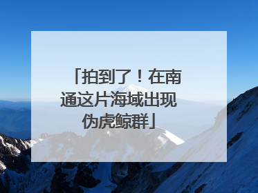 拍到了！在南通这片海域出现伪虎鲸群