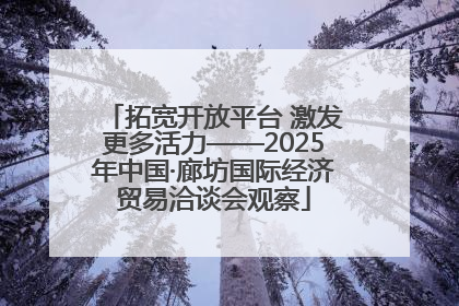 拓宽开放平台 激发更多活力——2025年中国·廊坊国际经济贸易洽谈会观察