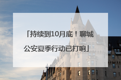 持续到10月底！聊城公安夏季行动已打响