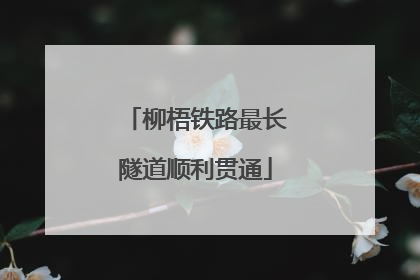 柳梧铁路最长隧道顺利贯通