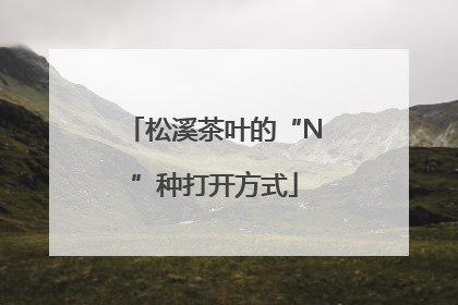 松溪茶叶的“N”种打开方式