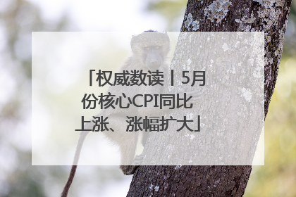 权威数读丨5月份核心CPI同比上涨、涨幅扩大