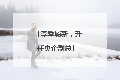 李季履新，升任央企副总