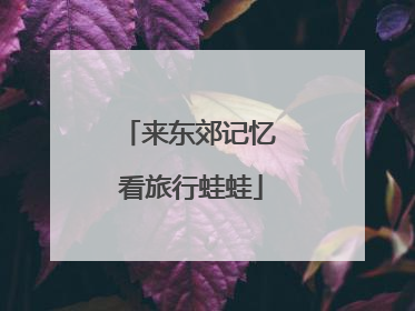 来东郊记忆 看旅行蛙蛙