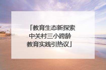 教育生态新探索 中关村三小跨龄教育实践引热议
