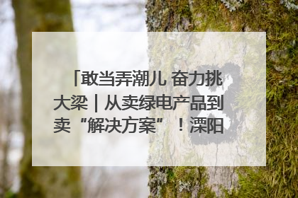 敢当弄潮儿 奋力挑大梁｜从卖绿电产品到卖“解决方案”！溧阳立足产业优势建成五大微电网示范项目
