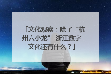 文化观察：除了“杭州六小龙” 浙江数字文化还有什么？