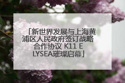 新世界发展与上海黄浦区人民政府签订战略合作协议 K11 ELYSEA璀璨启幕
