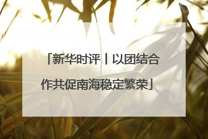 新华时评丨以团结合作共促南海稳定繁荣