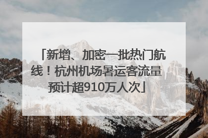 新增、加密一批热门航线！杭州机场暑运客流量预计超910万人次