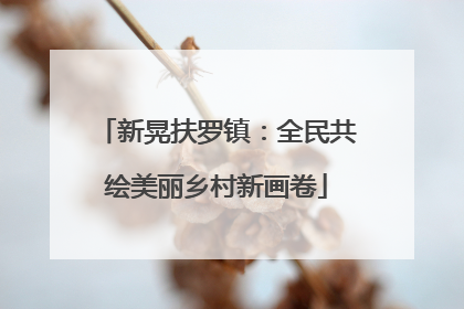 新晃扶罗镇：全民共绘美丽乡村新画卷