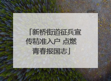 新桥街道征兵宣传精准入户 点燃青春报国志