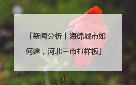 新闻分析丨海绵城市如何建，河北三市打样板