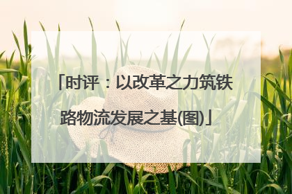 时评：以改革之力筑铁路物流发展之基(图)