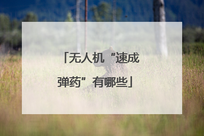 无人机“速成弹药”有哪些