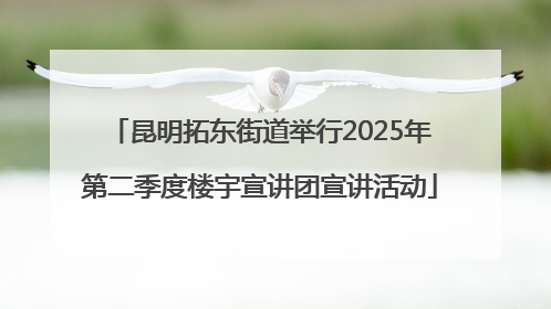 昆明拓东街道举行2025年第二季度楼宇宣讲团宣讲活动