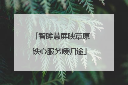 智眸慧屏映草原 铁心服务暖归途