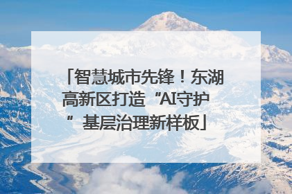 智慧城市先锋！东湖高新区打造“AI守护”基层治理新样板