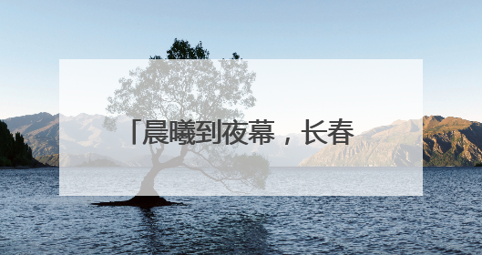 晨曦到夜幕，长春这条高速建设现场长鸣“奋进曲”
