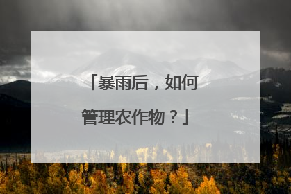 暴雨后，如何管理农作物？