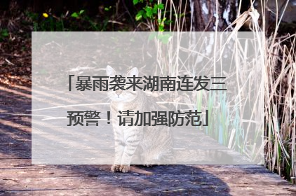 暴雨袭来湖南连发三预警！请加强防范