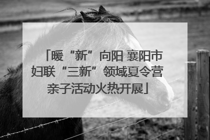 暖“新”向阳 襄阳市妇联“三新”领域夏令营亲子活动火热开展