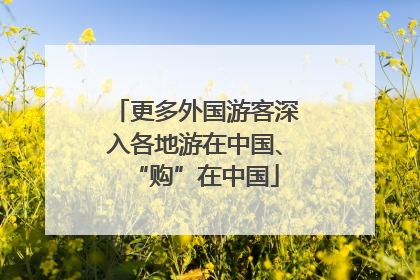 更多外国游客深入各地游在中国、“购”在中国