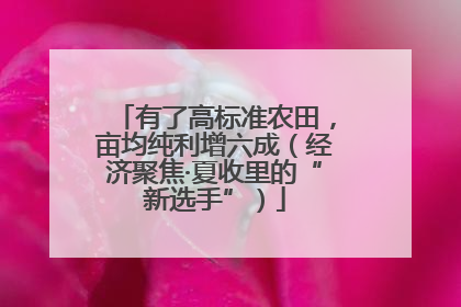 有了高标准农田，亩均纯利增六成（经济聚焦·夏收里的“新选手”）