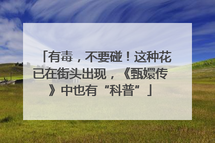 有毒，不要碰！这种花已在街头出现，《甄嬛传》中也有“科普”