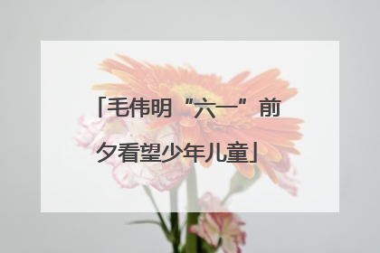 毛伟明“六一”前夕看望少年儿童
