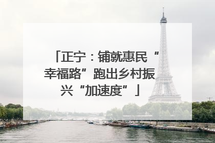 正宁：铺就惠民“幸福路”跑出乡村振兴“加速度”