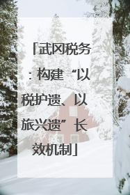 武冈税务：构建“以税护遗、以旅兴遗”长效机制