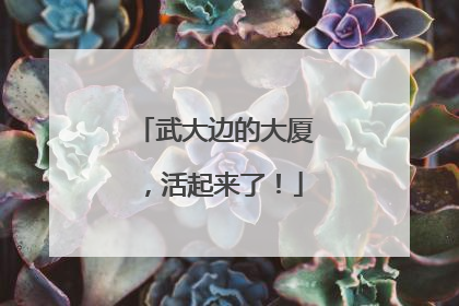 武大边的大厦，活起来了！