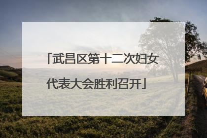 武昌区第十二次妇女代表大会胜利召开