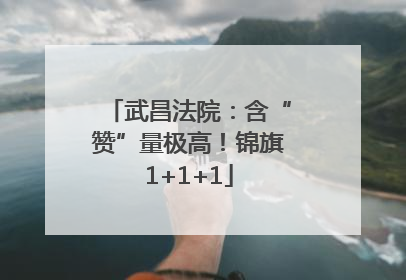 武昌法院：含“赞”量极高！锦旗1+1+1