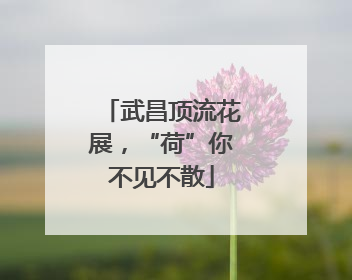 武昌顶流花展，“荷”你不见不散