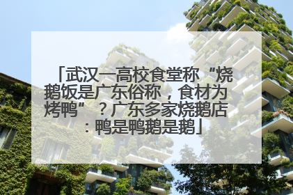 武汉一高校食堂称“烧鹅饭是广东俗称，食材为烤鸭”？广东多家烧鹅店：鸭是鸭鹅是鹅