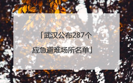 武汉公布287个应急避难场所名单