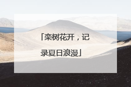 栾树花开，记录夏日浪漫