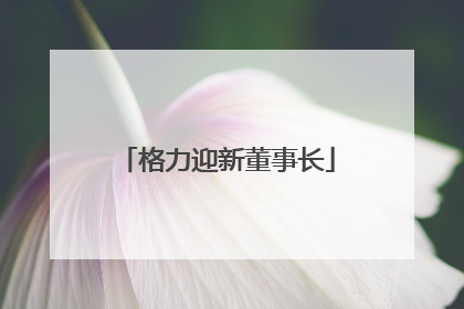 格力迎新董事长