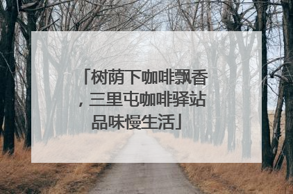树荫下咖啡飘香，三里屯咖啡驿站品味慢生活