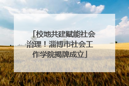 校地共建赋能社会治理！淄博市社会工作学院揭牌成立