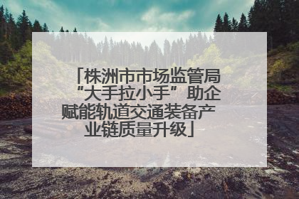 株洲市市场监管局“大手拉小手”助企赋能轨道交通装备产业链质量升级